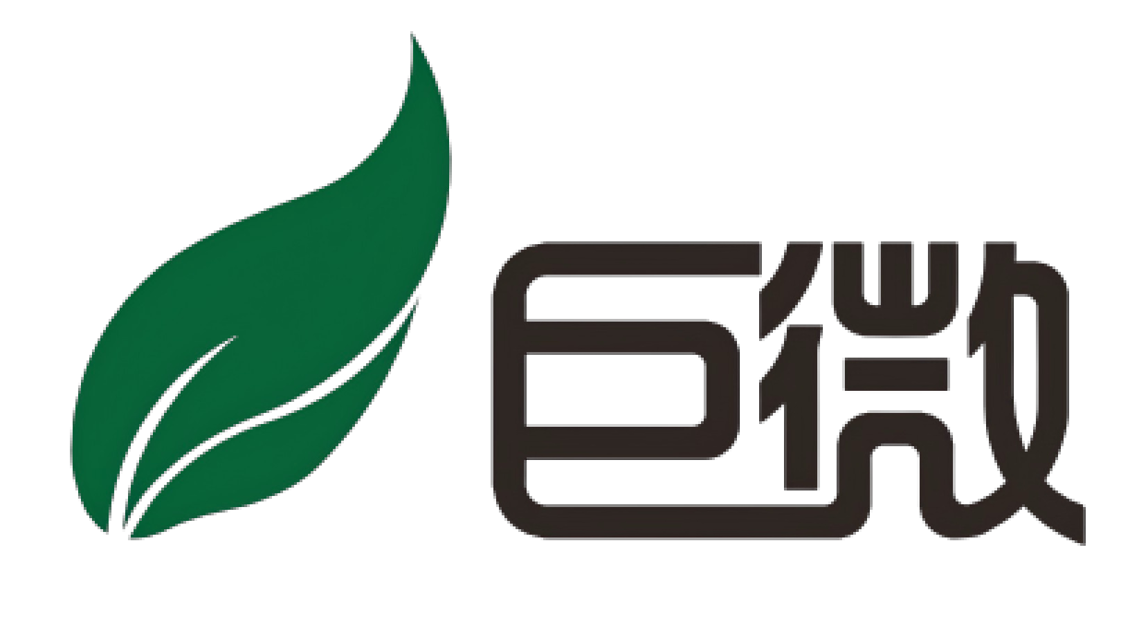 巨微